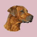 Rhodesian Ridgeback Embroidered Baseball Cap