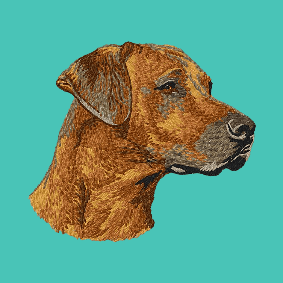 Rhodesian Ridgeback Embroidered Baseball Cap