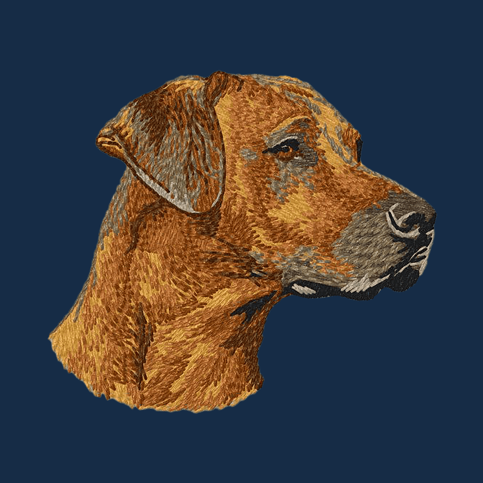 Rhodesian Ridgeback Embroidered Men's Denim Shirt