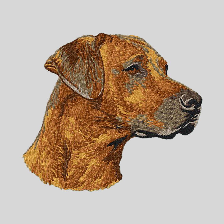 Rhodesian Ridgeback Embroidered Mock Neck Sweatshirt