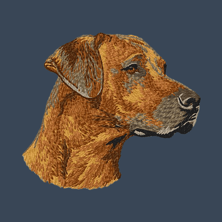 Rhodesian Ridgeback Embroidered Women's Denim Shirt
