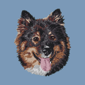 Finnish Lapphund Embroidered Men's Denim Shirt