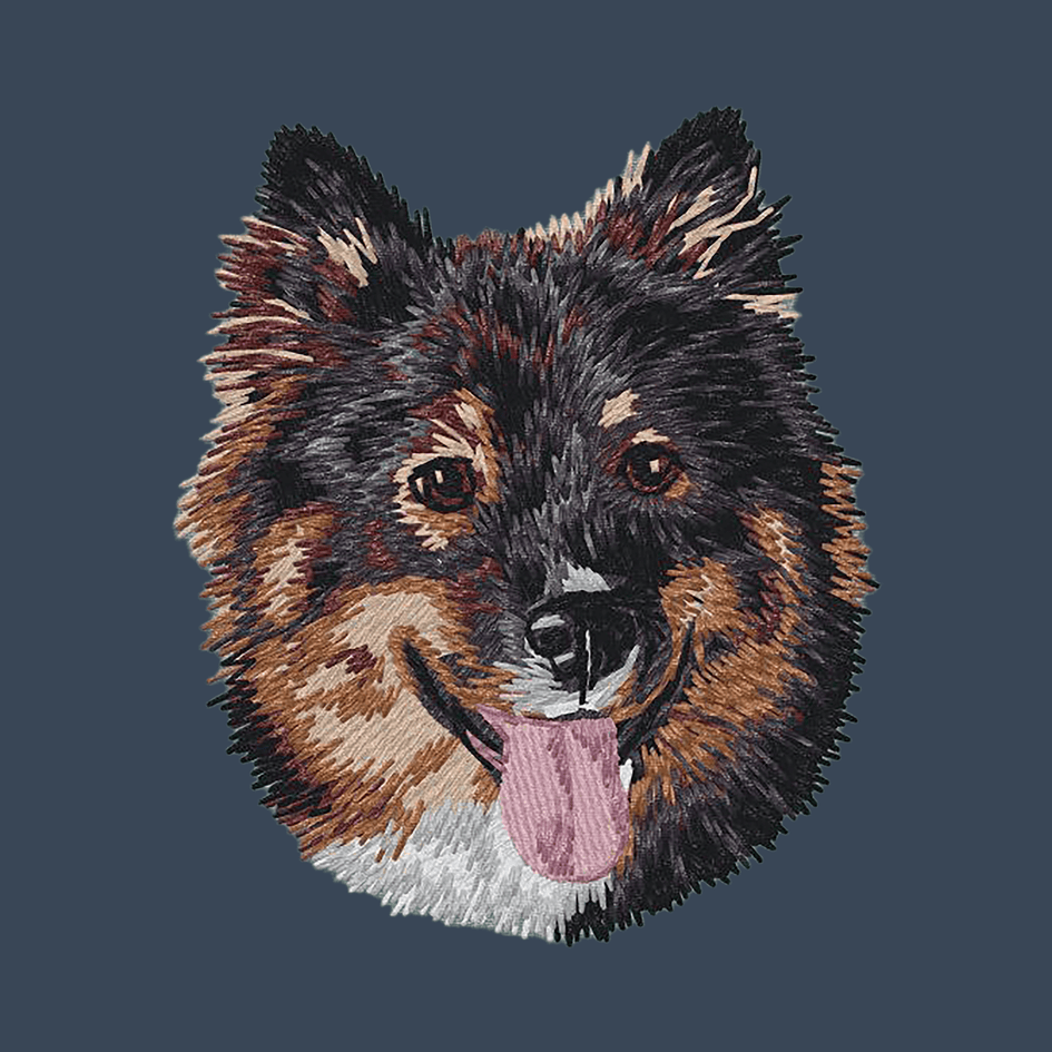 Finnish Lapphund Embroidered Women's Denim Shirt