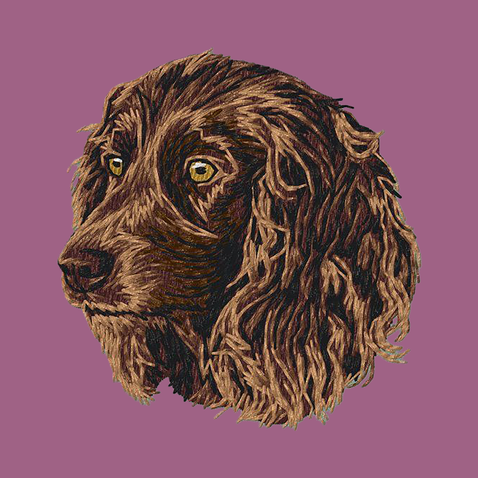 Boykin Spaniel Embroidered Classic Long Sleeve Shirt