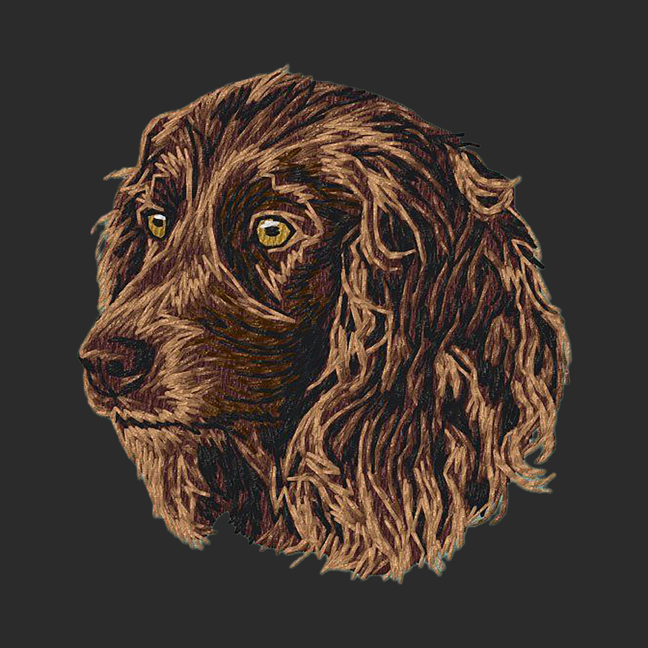 Boykin Spaniel Embroidered Classic Long Sleeve Shirt
