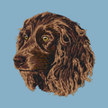 Boykin Spaniel Embroidered Classic Long Sleeve Shirt