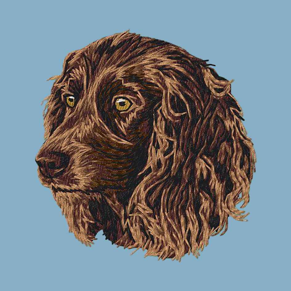 Boykin Spaniel Embroidered Classic Long Sleeve Shirt