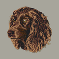 Boykin Spaniel Embroidered Classic Long Sleeve Shirt