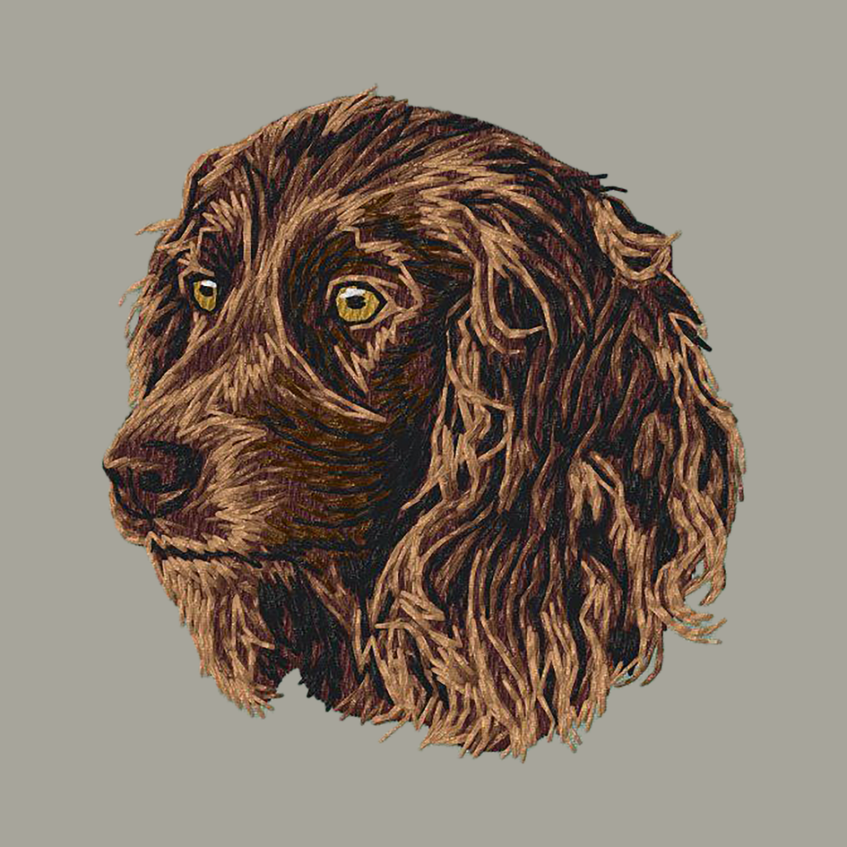 Boykin Spaniel Embroidered Classic Long Sleeve Shirt