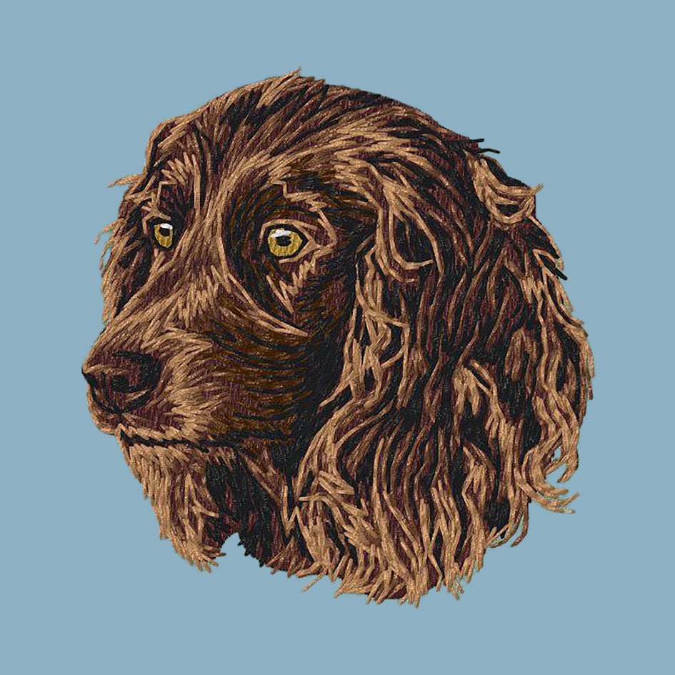 Boykin Spaniel Embroidered Sweatshirt Hoodie