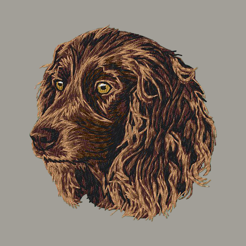 Boykin Spaniel Embroidered Sweatshirt Hoodie