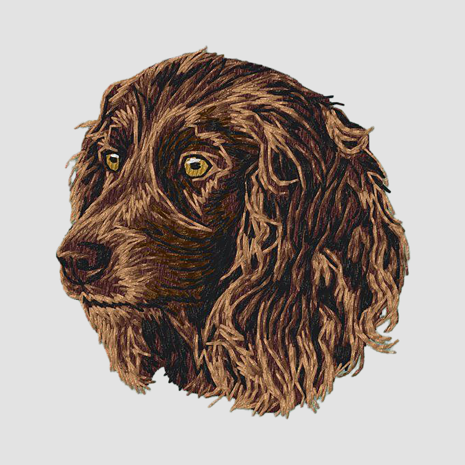 Boykin Spaniel Embroidered Classic Long Sleeve Shirt
