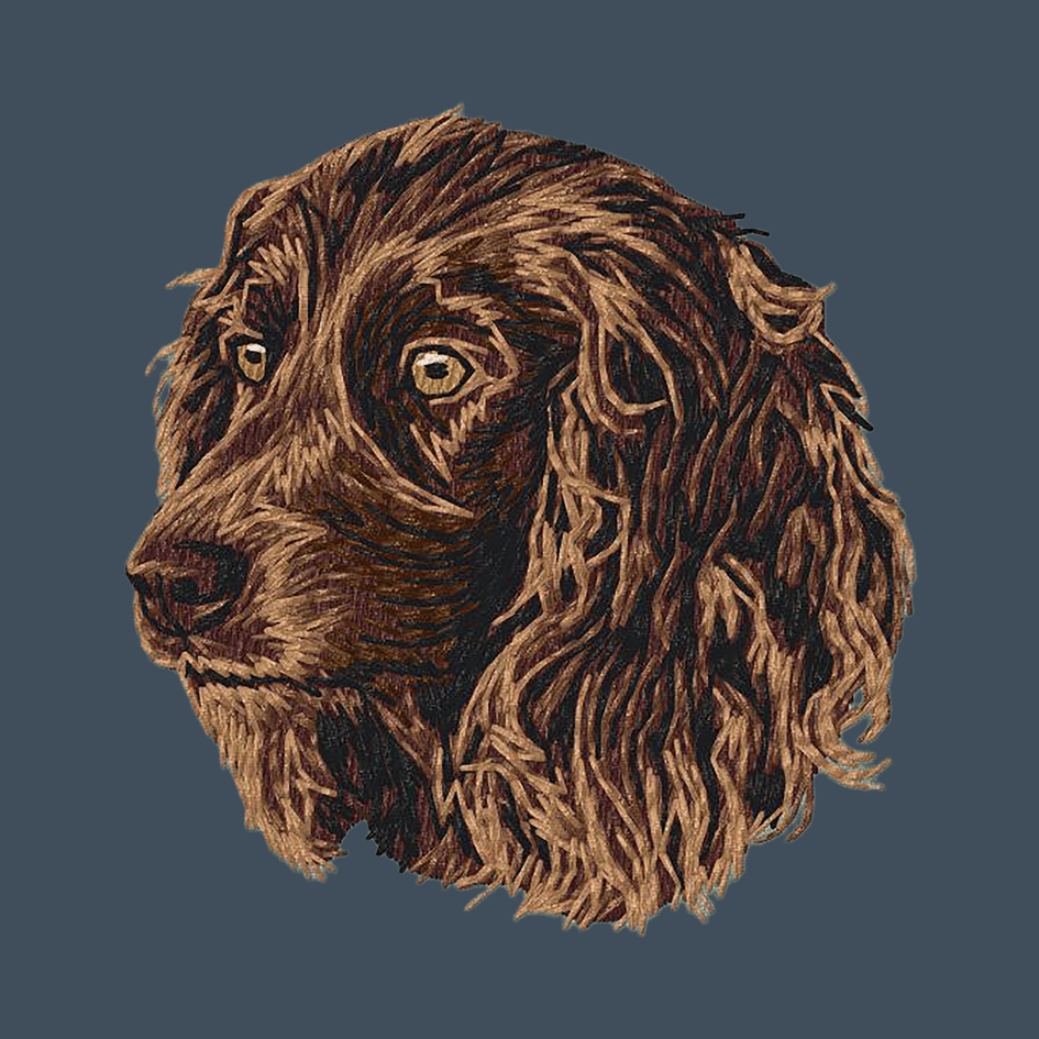 Boykin Spaniel Embroidered Baseball Cap