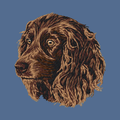 Boykin Spaniel Embroidered Baseball Cap