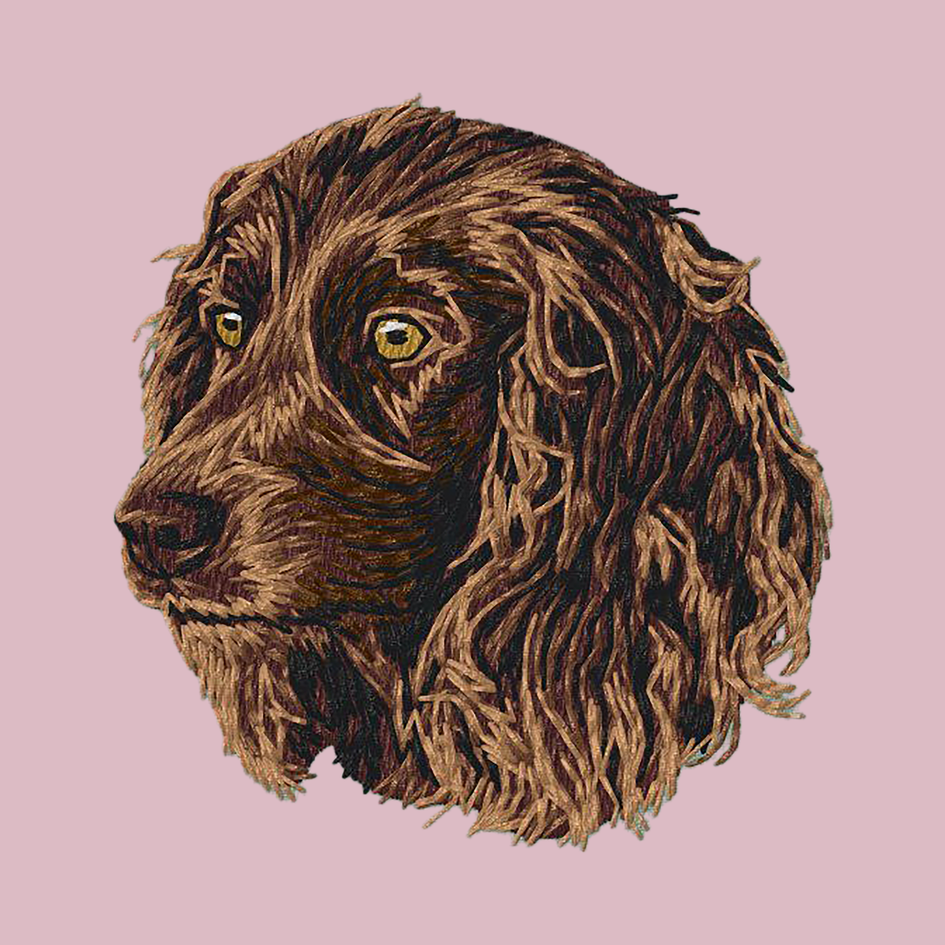 Boykin Spaniel Embroidered Baseball Cap