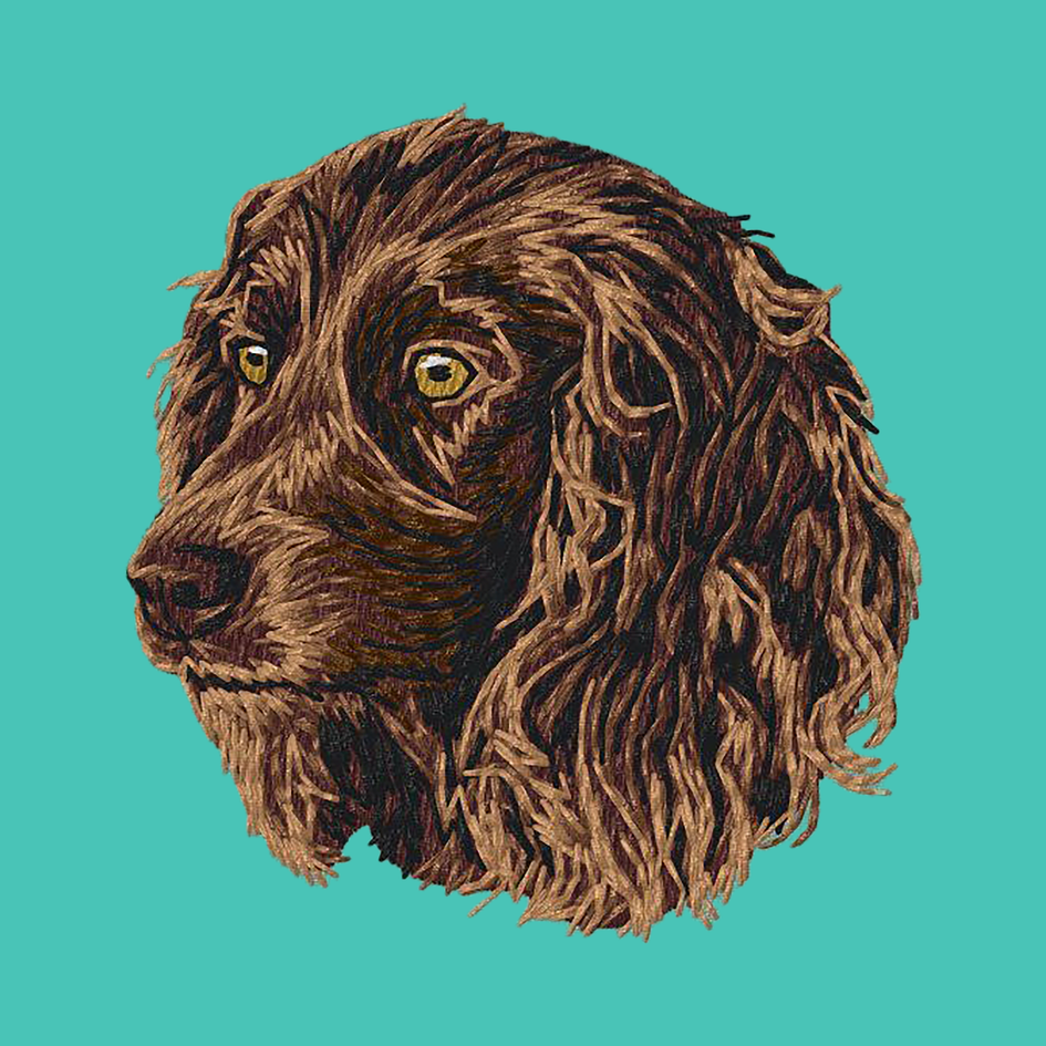 Boykin Spaniel Embroidered Baseball Cap