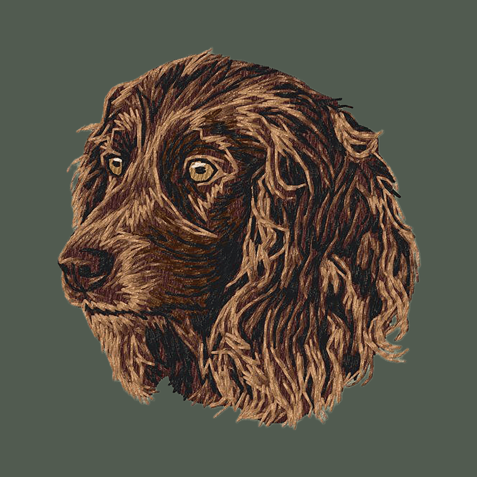 Boykin Spaniel Embroidered Baseball Cap