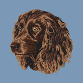 Boykin Spaniel Embroidered Men's Denim Shirt