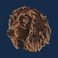 Boykin Spaniel Embroidered Men's Denim Shirt
