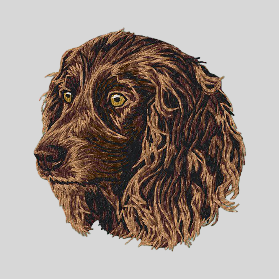Boykin Spaniel Embroidered Mock Neck Sweatshirt
