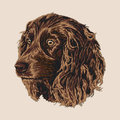 Boykin Spaniel Embroidered Tote