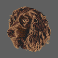 Boykin Spaniel Embroidered Women's Fleece Jacket