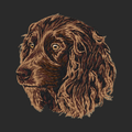 Boykin Spaniel Embroidered Wearable Blanket