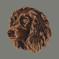 Boykin Spaniel Embroidered Wearable Blanket