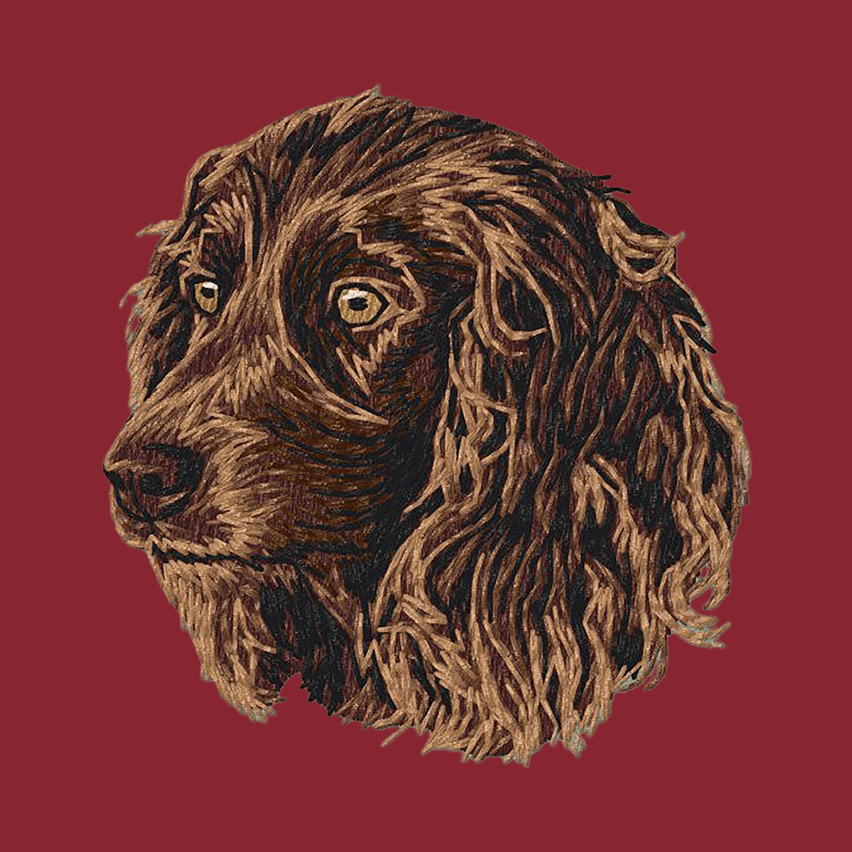 Boykin Spaniel Embroidered Wearable Blanket