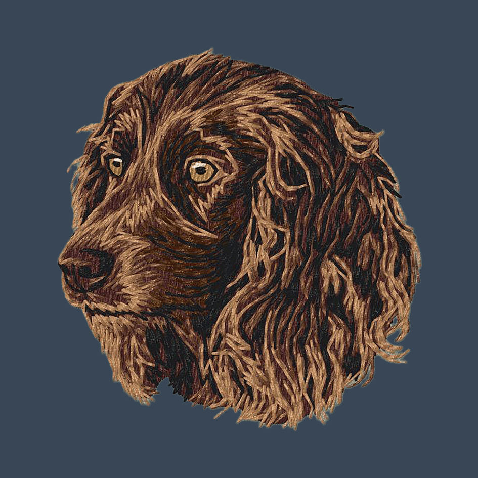 Boykin Spaniel Embroidered Women's Denim Shirt