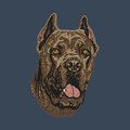 Cane Corso Embroidered Women's Denim Shirt