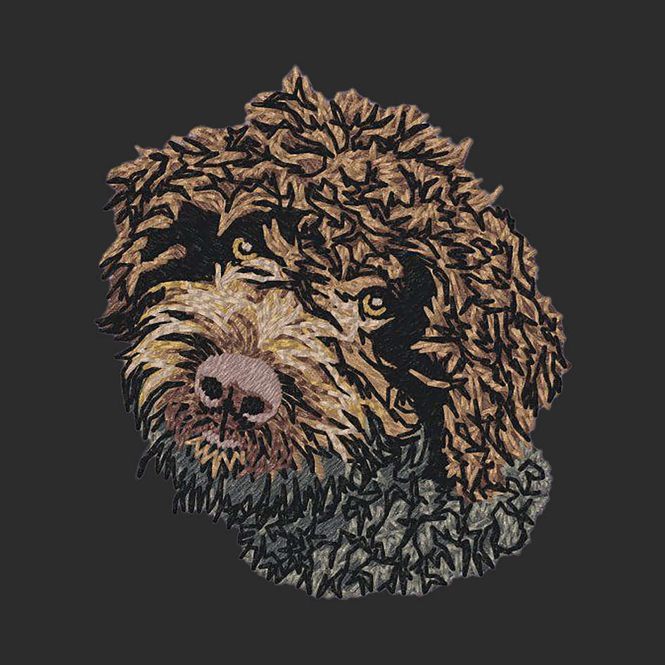 Lagotto Romagnolo Embroidered Classic Long Sleeve Shirt