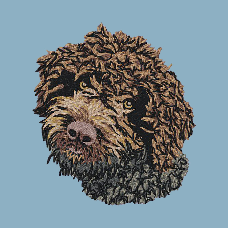 Lagotto Romagnolo Embroidered Sweatshirt Hoodie