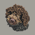 Lagotto Romagnolo Embroidered Sweatshirt Hoodie