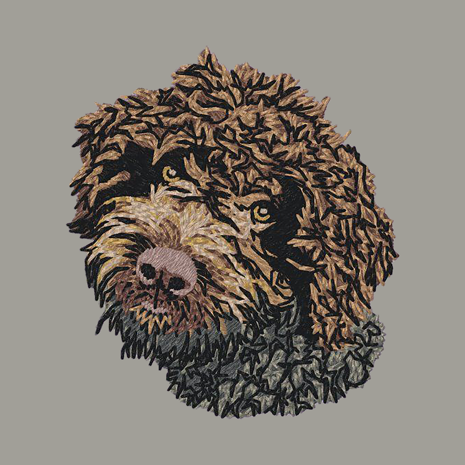 Lagotto Romagnolo Embroidered Sweatshirt Hoodie