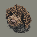 Lagotto Romagnolo Embroidered Baseball Cap