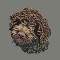 Lagotto Romagnolo Embroidered Wearable Blanket