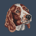Welsh Springer Spaniel Embroidered Women's Denim Shirt