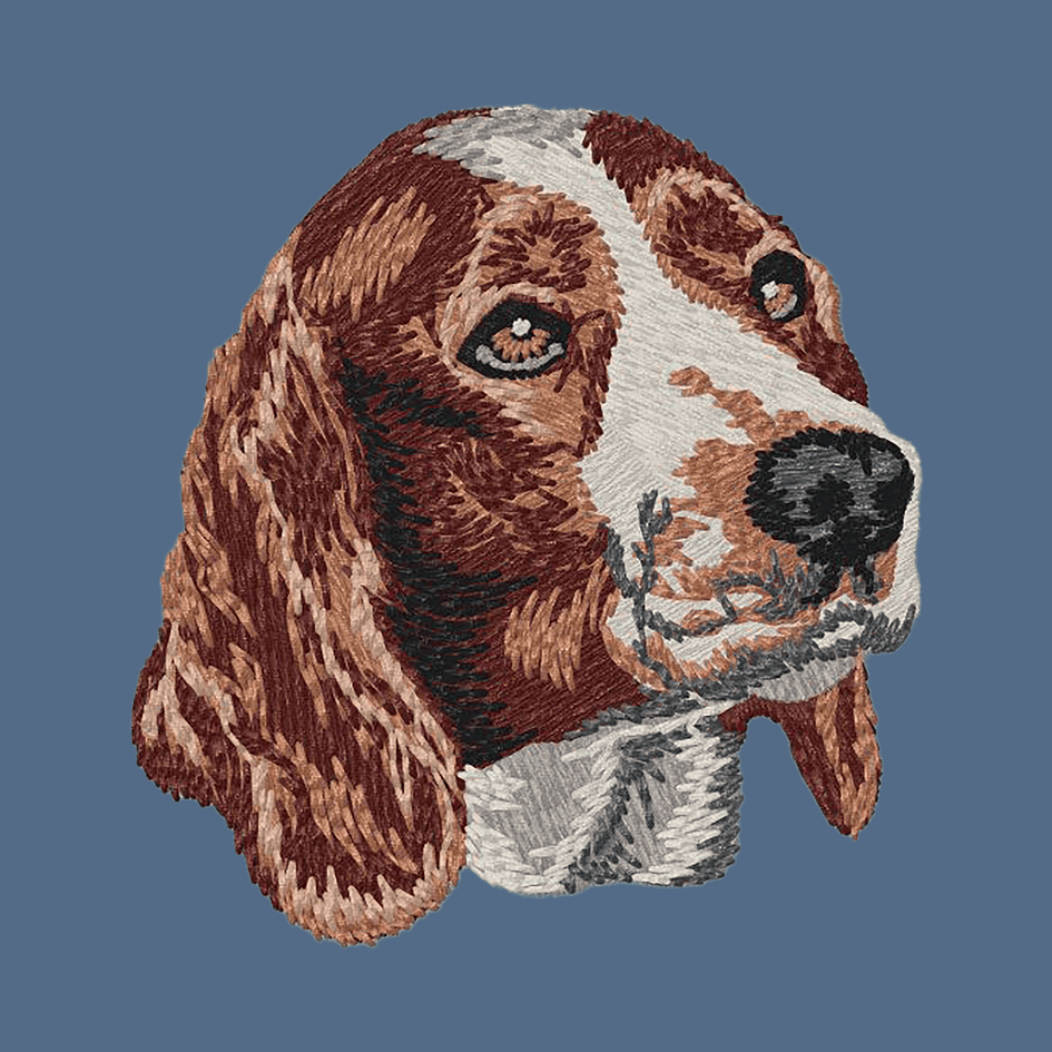 Welsh Springer Spaniel Embroidered Women's Denim Shirt