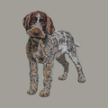 Wirehaired Pointing Griffon Embroidered Sweatshirt Hoodie