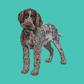 Wirehaired Pointing Griffon Embroidered Baseball Cap