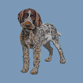 Wirehaired Pointing Griffon Embroidered Men's Denim Shirt
