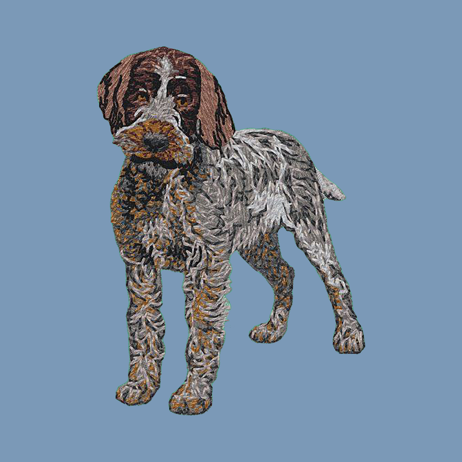 Wirehaired Pointing Griffon Embroidered Men's Denim Shirt