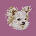 Chihuahua Embroidered Classic Long Sleeve Shirt