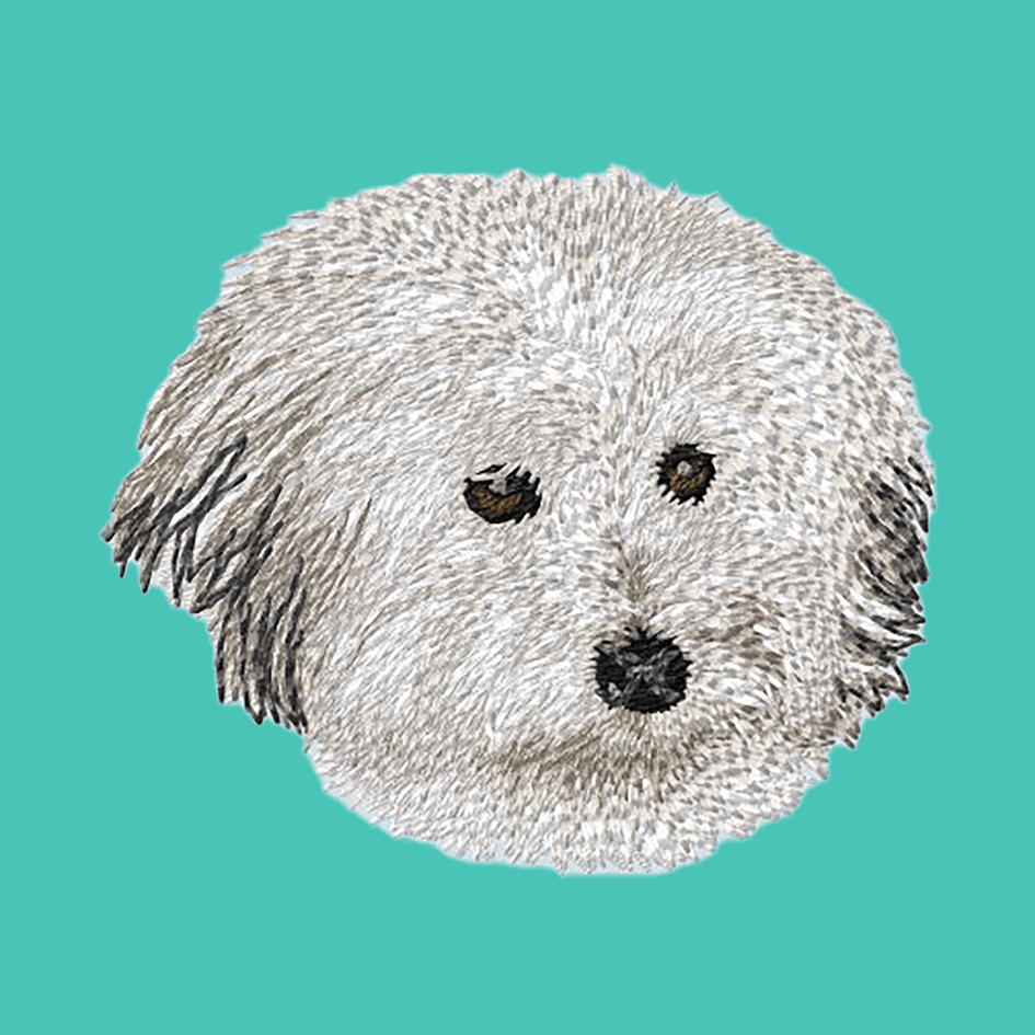 Coton de Tulear Embroidered Baseball Cap