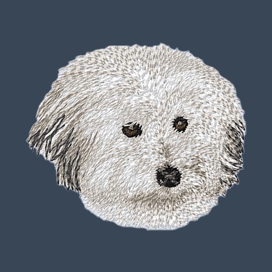Coton de Tulear Embroidered Women's Denim Shirt