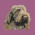 Spinone Italiano Embroidered Classic Long Sleeve Shirt