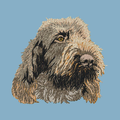 Spinone Italiano Embroidered Classic Long Sleeve Shirt