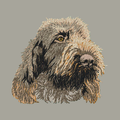 Spinone Italiano Embroidered Classic Long Sleeve Shirt