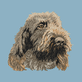 Spinone Italiano Embroidered Sweatshirt Hoodie